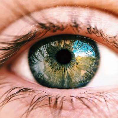 santé visuelle-opticien le havre